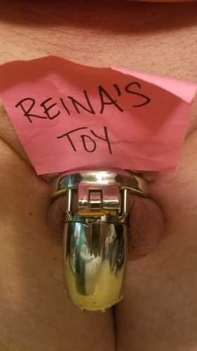 Photo by Reina Means Queen with the username @thebossysmurf,  January 30, 2021 at 12:35 AM. The post is about the topic Male Chastity and the text says 'My sub loves to show he's locked in chastity for me'