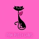 pink cams