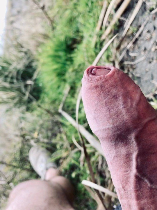 Photo by The Happy Farmer with the username @Thehappyfarmer,  January 23, 2021 at 3:25 PM. The post is about the topic This is my hard cock and the text says 'enjoying nature - raglan nz'