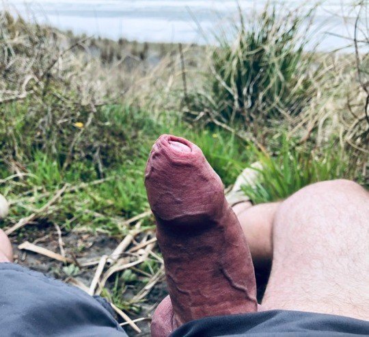Watch the Photo by The Happy Farmer with the username @Thehappyfarmer, posted on January 23, 2021. The post is about the topic This is my hard cock.