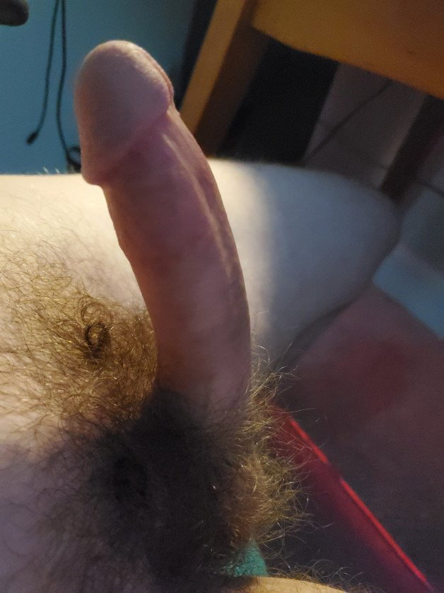 Photo by Fatkat159 with the username @Fatkat159,  August 17, 2021 at 9:50 PM. The post is about the topic Rate my pussy or dick and the text says 'Horny as hell. let me know what you think'