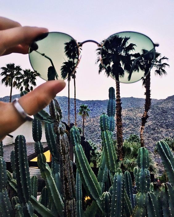 Photo by earlgreyatmidnight with the username @earlgreyatmidnight,  October 9, 2018 at 2:18 AM and the text says 'summersweeet:

via weheartit #southern  #california  #california  #desert  #palm  #trees  #cactus  #travel  #road  #trip  #summer  #adventure'